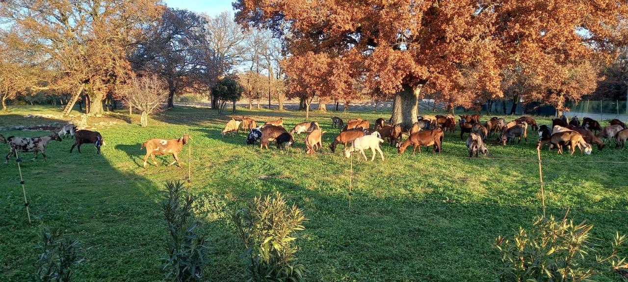 Gite "Le Couchant" Gras Exteriér fotografie